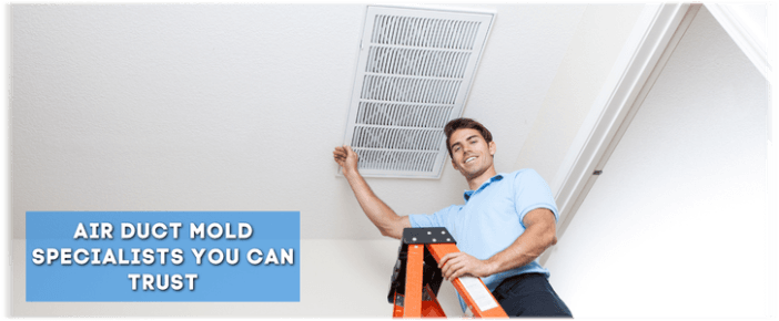 Air Duct Mold Removal in Quincy MA