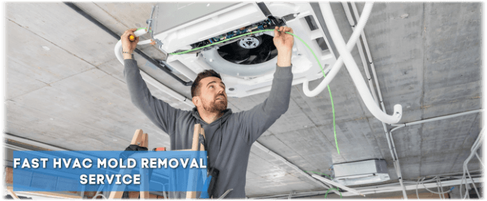 HVAC Mold Removal Quincy MA